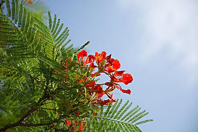 曝《上古卷轴4：重制版》包含全部DLC B社真良心